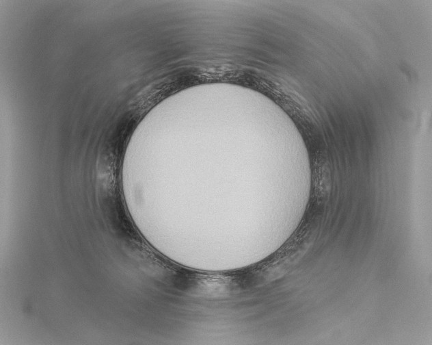 X0000115550226200912041038