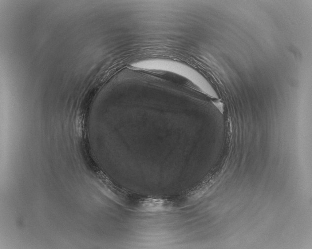 X0000115550227200912041038