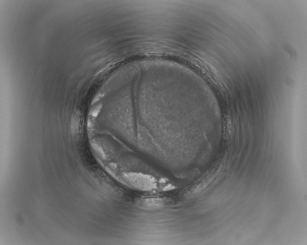 X0000115550228200912041038