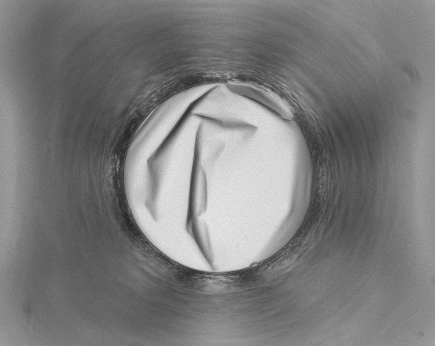 X0000115550229200912041038