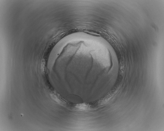 X0000115550231200912041038