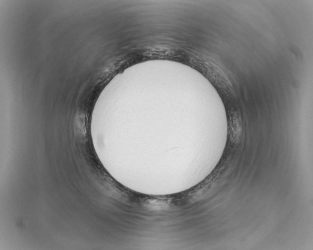 X0000115550232200912041038