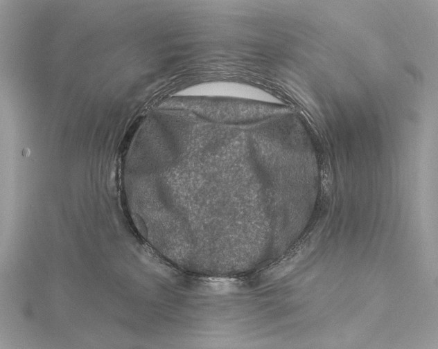 X0000115550233200912041038