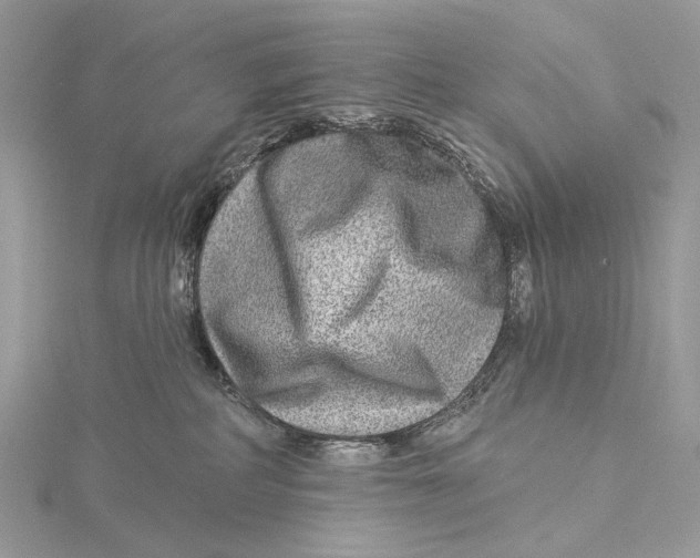 X0000115550234200912041038