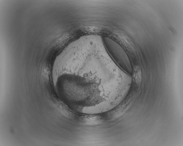 X0000115550235200912041038