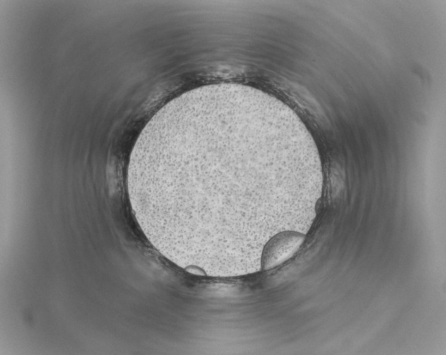 X0000115550236200912041038