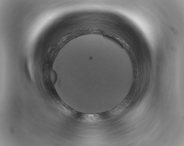 X0000115550239200912041038