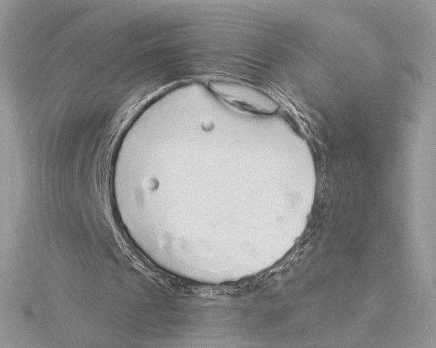 X0000115550241200912041037