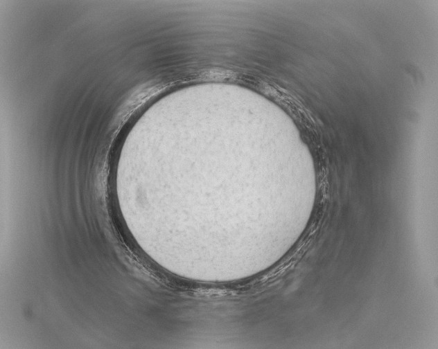 X0000115550242200912041038