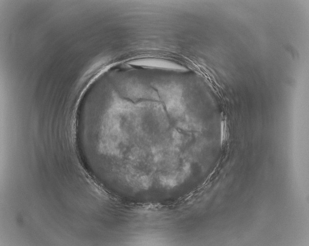 X0000115550243200912041038