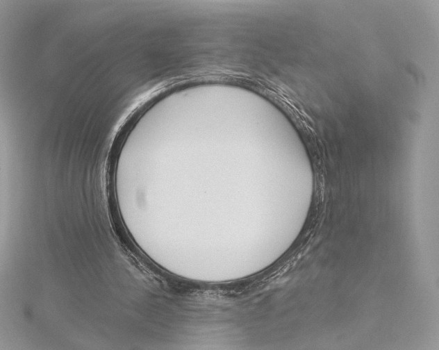 X0000115550244200912041038