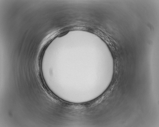 X0000115550245200912041038