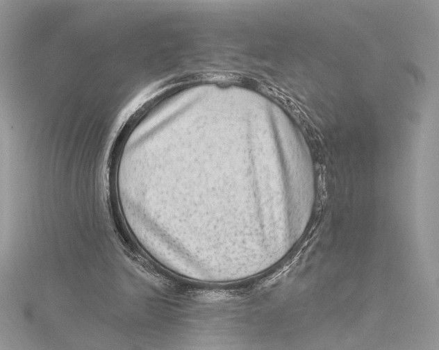 X0000115550246200912041038