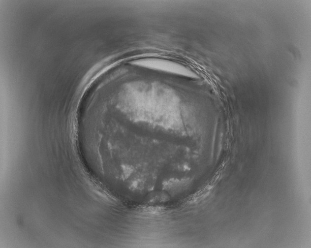 X0000115550247200912041038