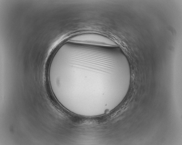 X0000115550248200912041038