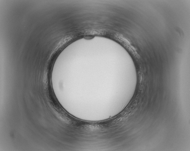 X0000115550250200912041038