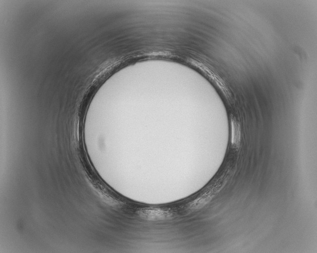 X0000115550253200912041038