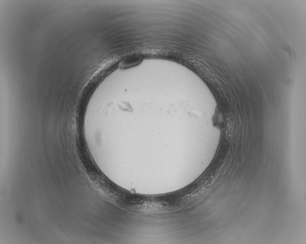 X0000115550256200912041038