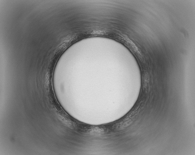 X0000115550257200912041038