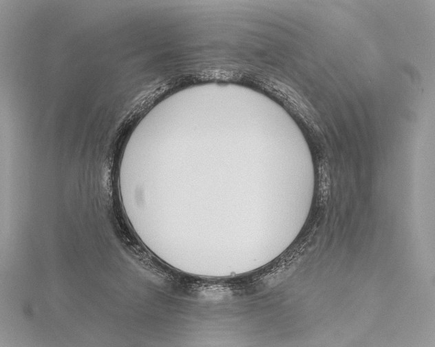 X0000115550258200912041038