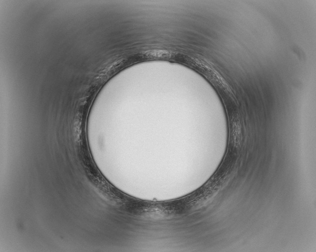 X0000115550259200912041038