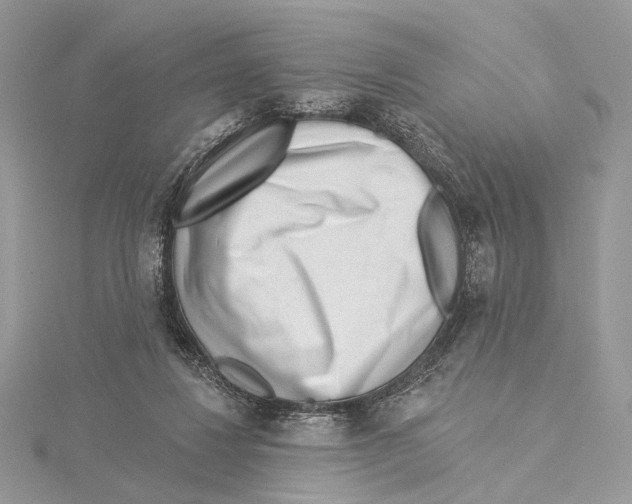 X0000115550260200912041038