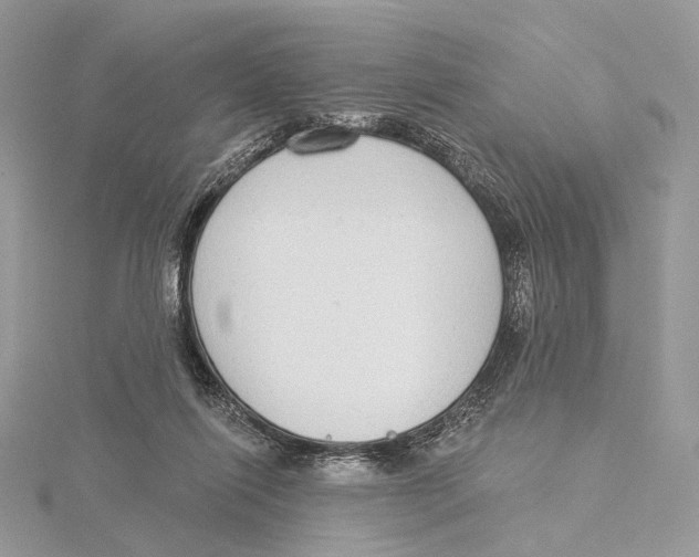 X0000115550262200912041038