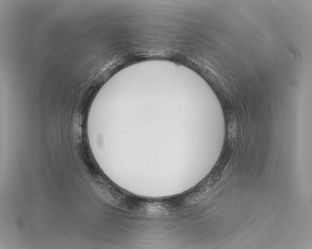 X0000115550264200912041038