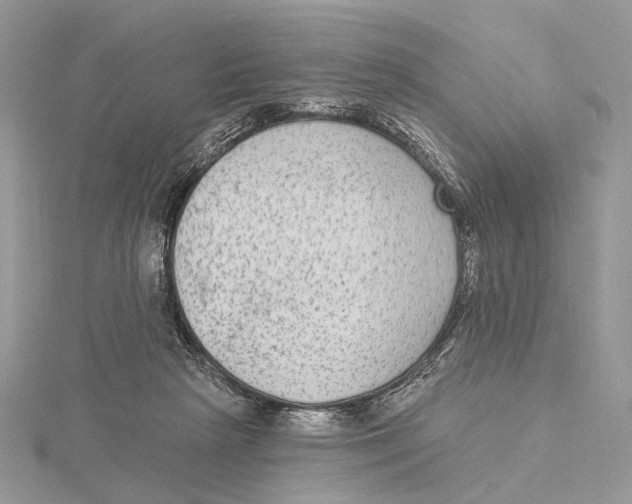 X0000115550265200912041038