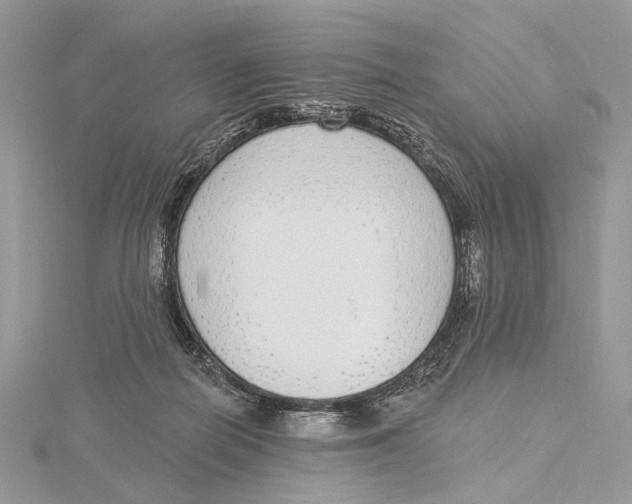 X0000115550266200912041038