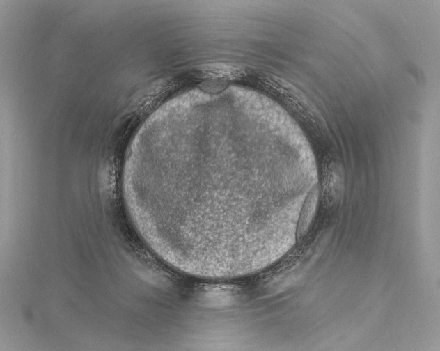 X0000115550268200912041038