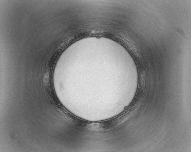 X0000115550269200912041038