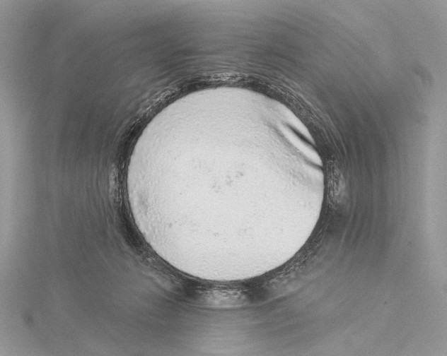 X0000115550270200912041038