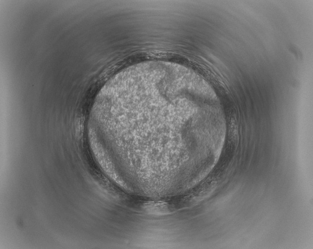 X0000115550271200912041038