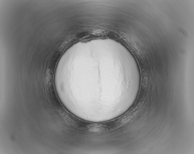 X0000115550273200912041038