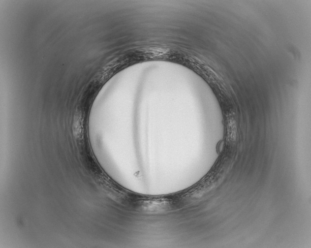 X0000115550274200912041038