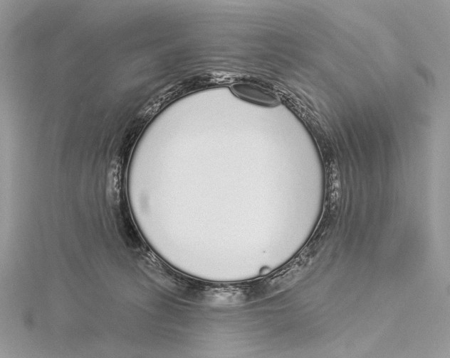 X0000115550275200912041038