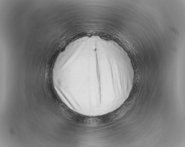 X0000115550277200912041038