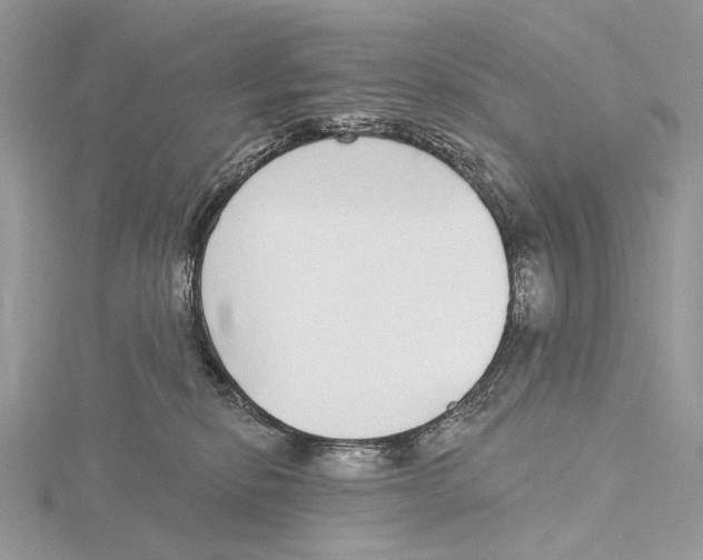 X0000115550278200912041038