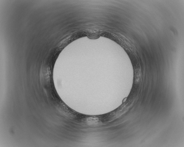 X0000115550279200912041038