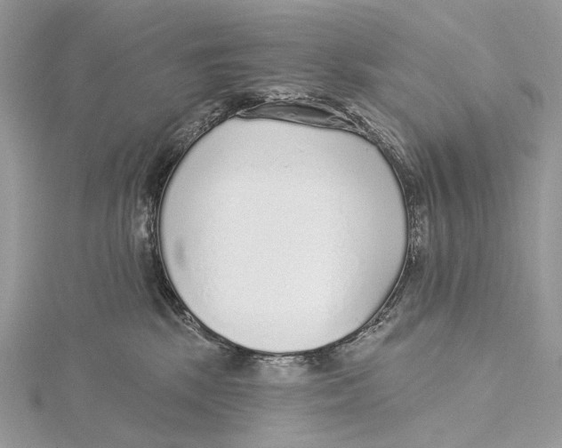 X0000115550281200912041038