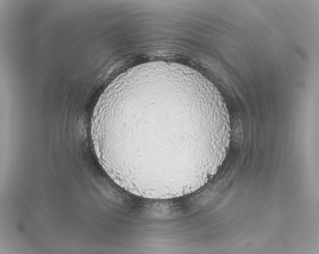 X0000115550282200912041038