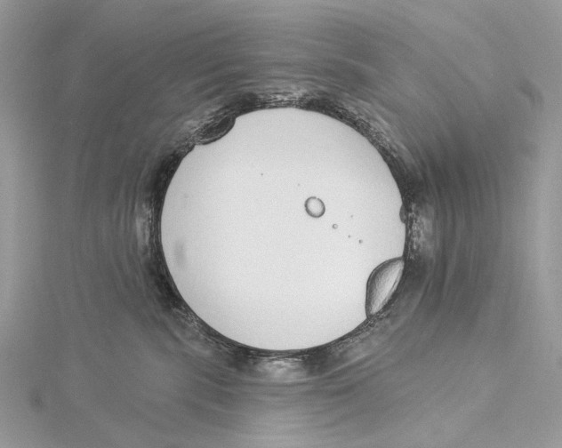 X0000115550283200912041038