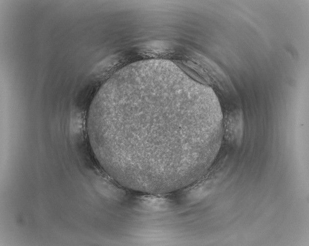 X0000115550284200912041038