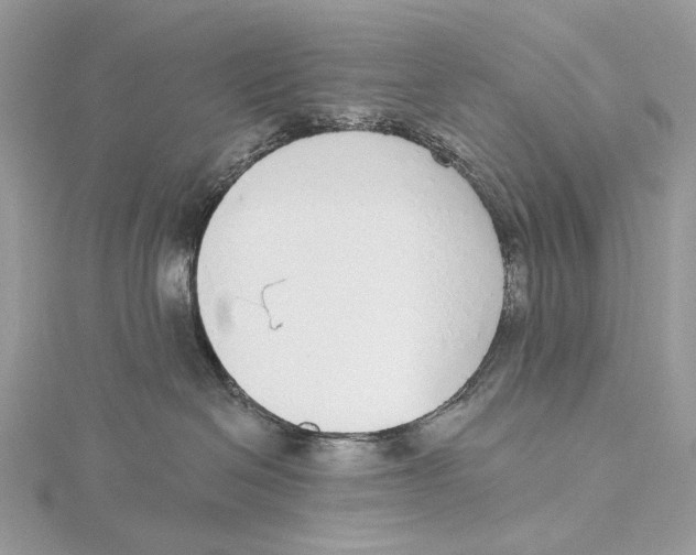 X0000115550286200912041038