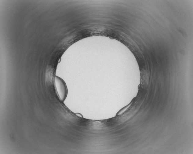 X0000115550287200912041038