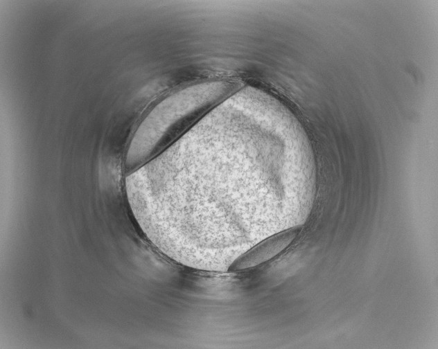 X0000115550288200912041038