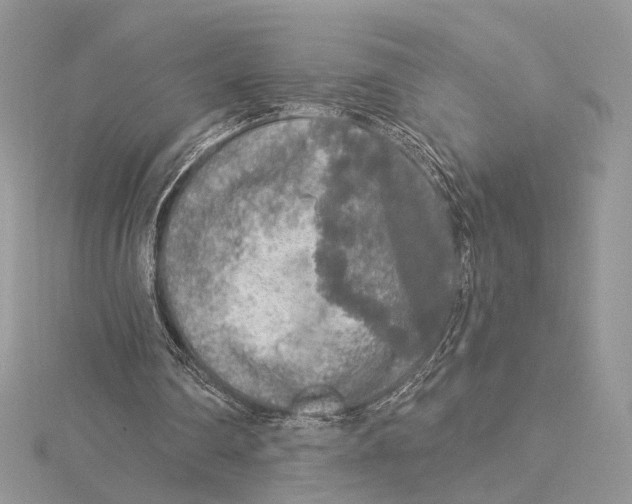 X0000115550290200912041037