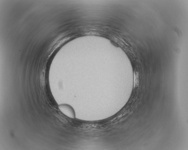 X0000115550291200912041037