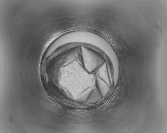 X0000115550292200912041037